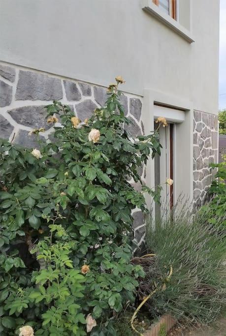 Grand Studio Avec Jardin Et Entree Privative A Noter Reservations De 3 Nuits Minimum Clermont-Ferrand Exterior photo